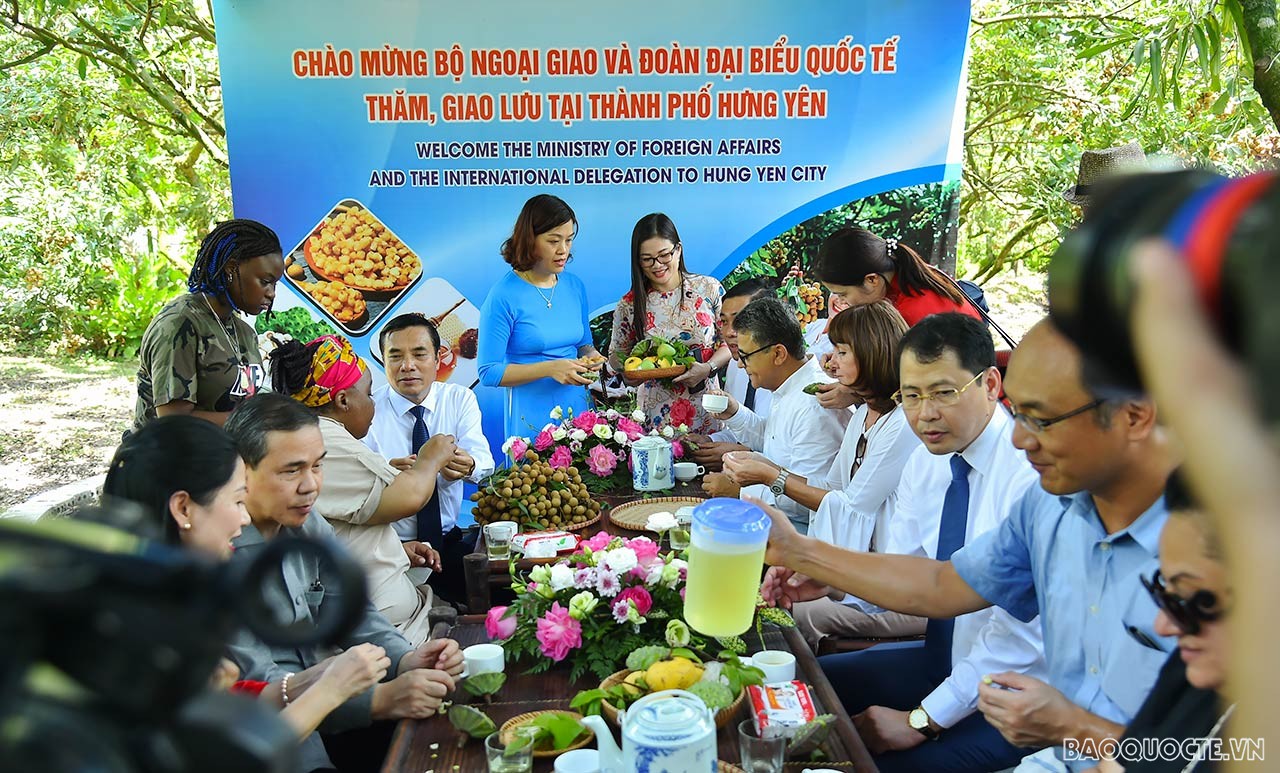 Toàn cảnh Ngoại giao đoàn về thăm, kết nối và giao lưu tại quê hương nhãn lồng Hưng Yên qua ảnh