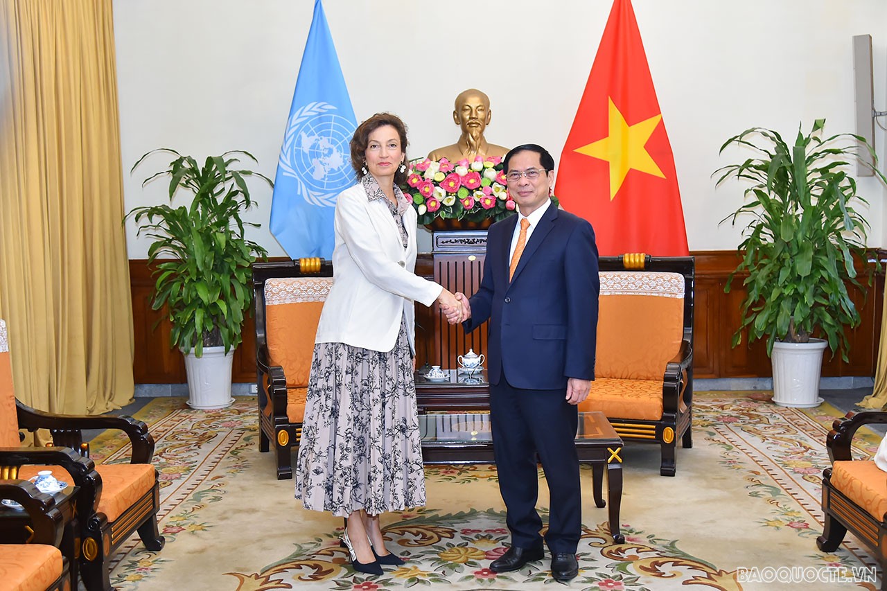 Tổng giám đốc UNESCO cho rằng, trong bối cảnh tăng trưởng kinh tế nhanh chóng, Việt Nam đã biết tạo dựng một mô hình phát triển dựa trên cơ sở đầu tư đáng kể cho giáo dục. Việt Nam cũng đã đưa ra những cam kết cụ thể để bảo vệ di sản, một trong những trụ cột tạo nên bản sắc và sự phát triển. Trong cả hai lĩnh vực, Việt Nam đã đạt được những tiến bộ quan trọng, nhưng các nỗ lực này cũng cần được duy trì tốt để đạt được các Mục tiêu Phát triển Bền vững của Liên hợp quốc.