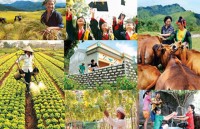 ty le ngheo cung cuc tai viet nam giam manh