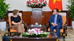 Việt Nam cảm ơn Hà Lan hỗ trợ cho các địa phương bị ảnh hưởng lũ lụt miền Trung