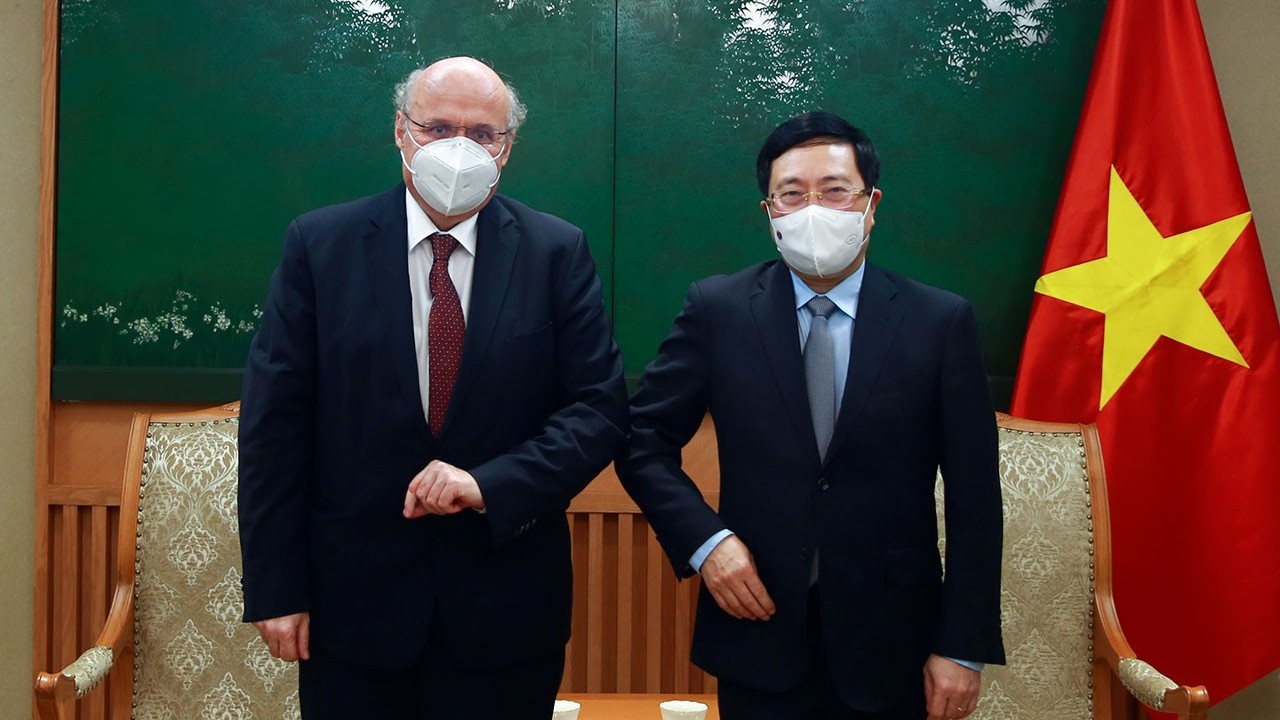 Việt Nam đề nghị Áo sớm phê chuẩn Hiệp định bảo hộ đầu tư Việt Nam-EU (EVIPA)