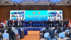 Tiểu vùng Mekong trong ngoại giao chuyên biệt của Việt Nam