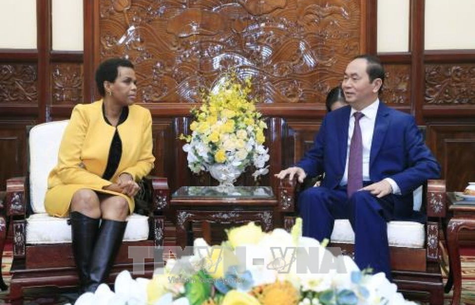 Chủ tịch nước tiếp Đại sứ Nam Phi chào kết thúc nhiệm kỳ