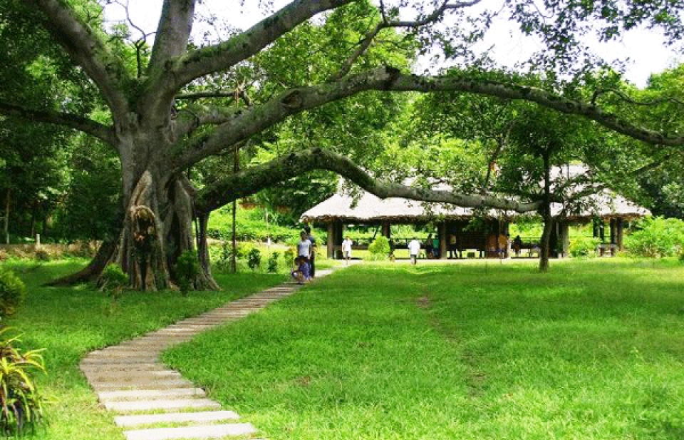 Quy hoạch tổng thể phát triển Khu du lịch quốc gia Tân Trào