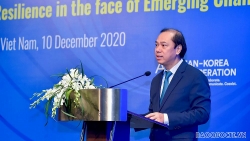 Tăng cường hợp tác ASEAN+3 nhằm nâng cao năng lực tự cường kinh tế