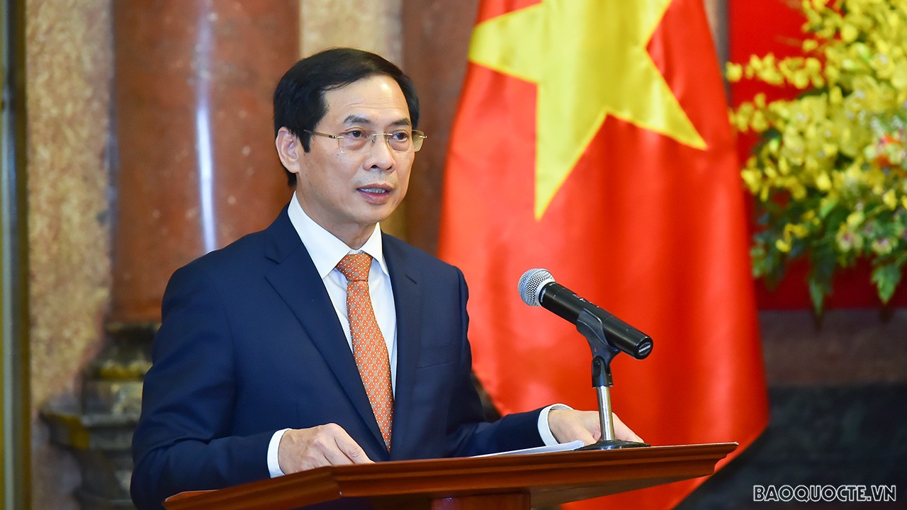 Bộ trưởng Ngoại giao Bùi Thanh Sơn báo cáo tại buổi gặp mặt. (Ảnh: Tuấn Anh)