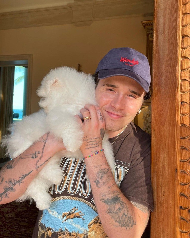 Các ngôi sao thế giới đón năm mới 2022 thế nào? Các ngôi sao thế giới đón năm mới 2022 thế nào?