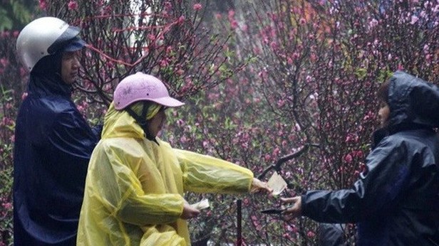 Thời tiết Tết Nguyên đán: Miền Bắc rét đậm, rét hại đến mùng 4 Tết, vùng núi cao xảy ra mưa tuyết