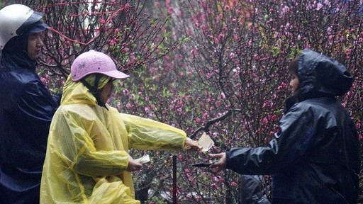 Thời tiết Tết Nguyên đán Tân Sửu (Từ 8-16/2/2021): Bắc Bộ trời nắng, Nam Bộ đêm có mưa rào