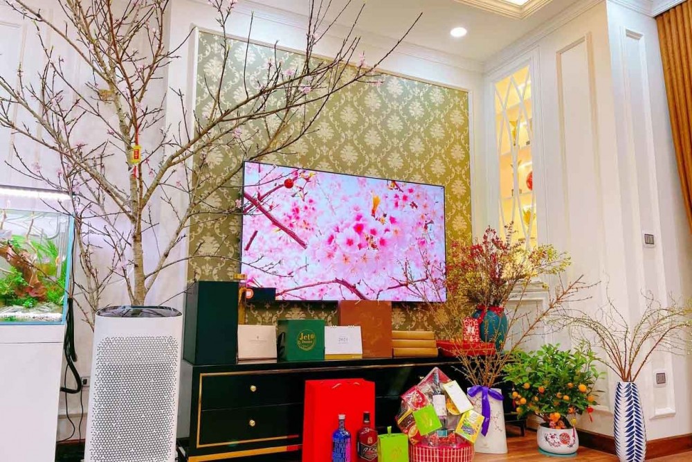 Sao Việt rộn ràng đón Tết