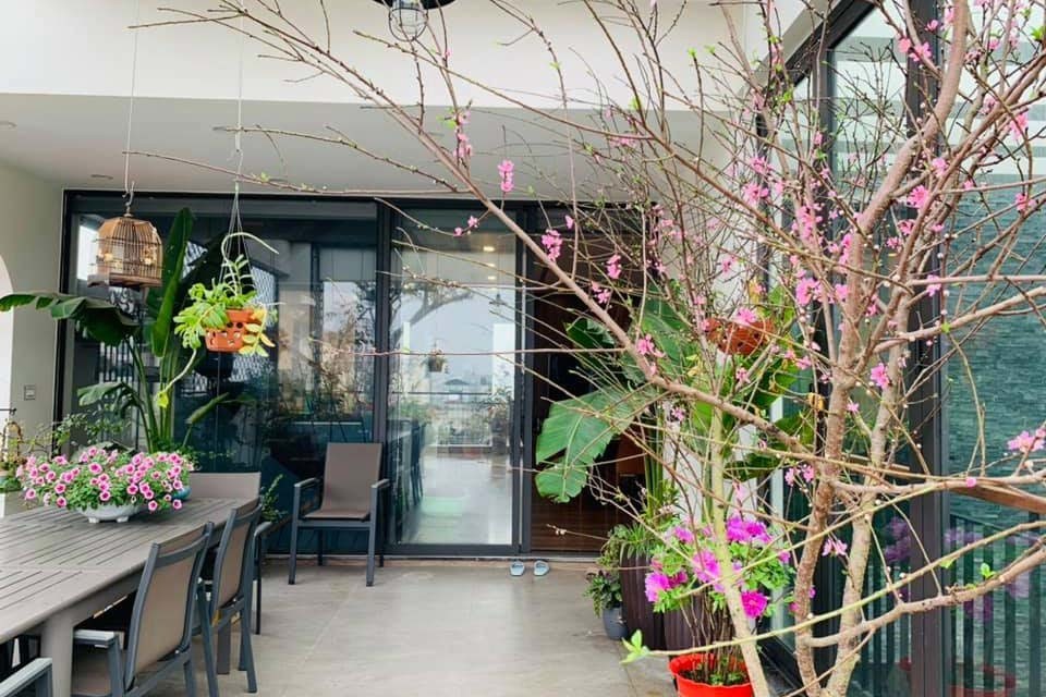 Sao Việt rộn ràng đón Tết