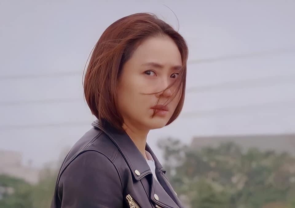 Hướng dương ngược nắng