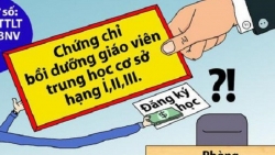 ‘Chứng chỉ chức danh nghề nghiệp không có lỗi, nhưng…’