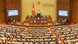 Kỳ vọng gì ở mỗi Đại biểu Quốc hội?