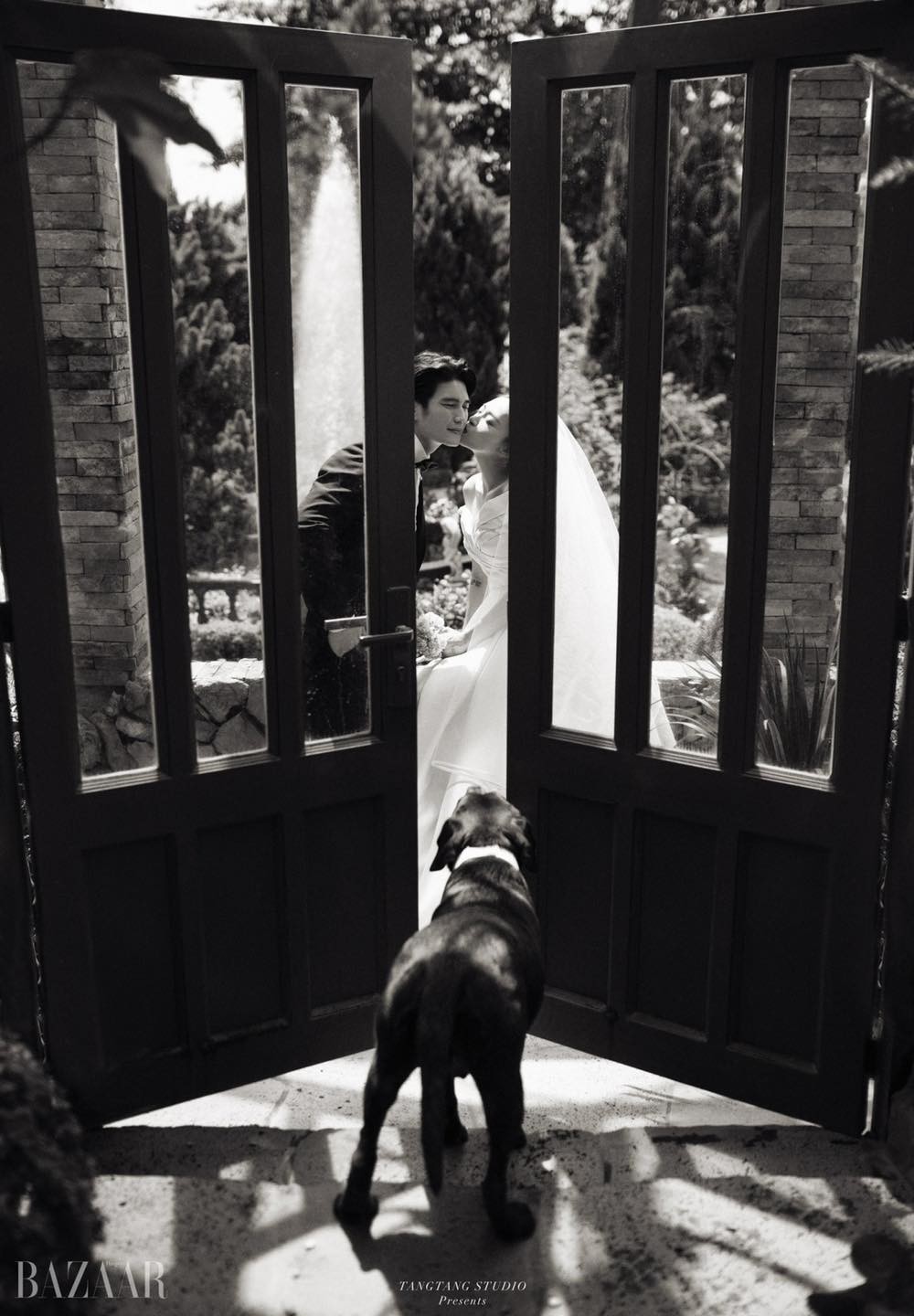 Mãn nhãn với ảnh cưới của Ngô Thanh Vân