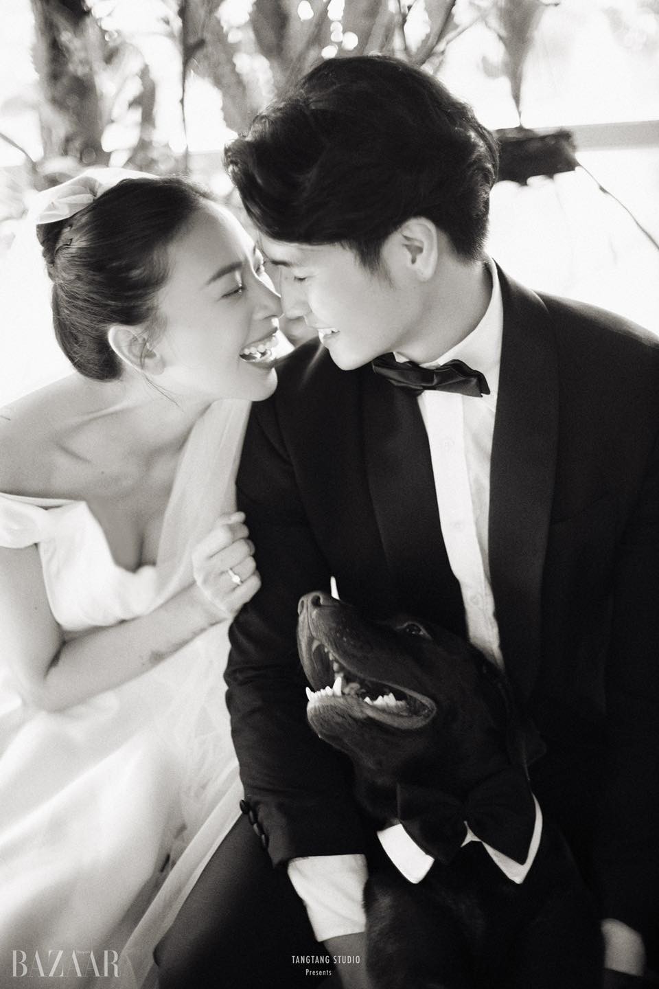 Mãn nhãn với ảnh cưới của Ngô Thanh Vân