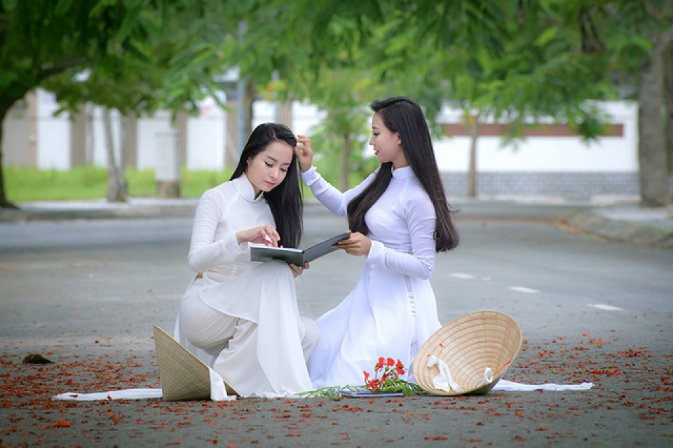 mua hoa phuong vi o thanh pho mang ten bac