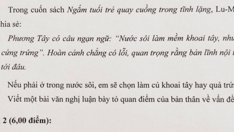 Đề thi Văn 'nếu phải ở trong nước sôi...': Phần lớn học sinh hiểu và làm được bài?