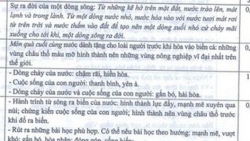 Đề thi Văn tốt nghiệp THPT 2021: Đừng máy móc để cho điểm, hãy dùng 'con mắt xanh' để thẩm văn