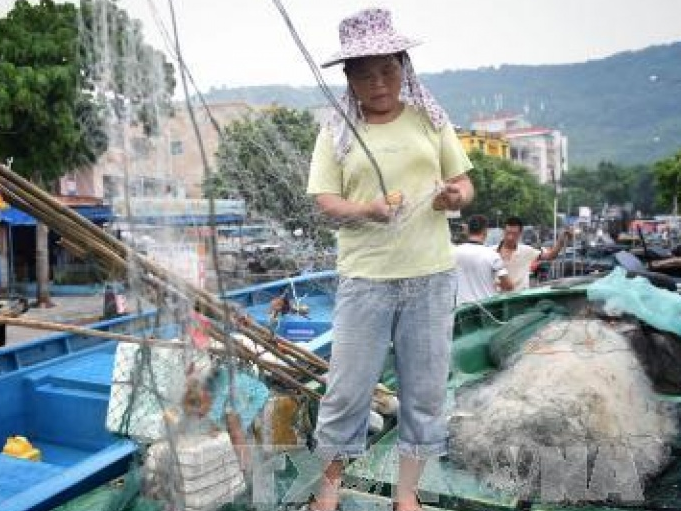 Bão Nida rời Philippines, bắt đầu tấn công Trung Quốc