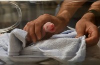 den trung quoc ngam nhung chu gau truc de thuong nhat the gioi