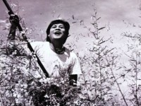 phat giao luon la cau noi quan trong trong tinh huu nghi an viet