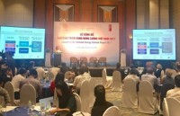 Đan Mạch hỗ trợ Việt Nam phát triển năng lượng bền vững