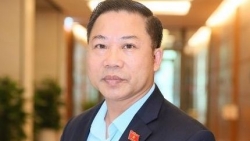 ĐBQH Lưu Bình Nhưỡng: 'Không thể chấp nhận một luống chè, luống rau bán ra khác với nhà mình dùng'