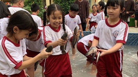 Học sinh TP. Hồ Chí Minh sẽ được hỗ trợ bao nhiêu học phí?