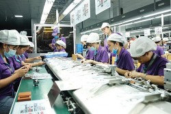 Một năm thực hiện EVFTA: Đã tận dụng được hết lợi thế?