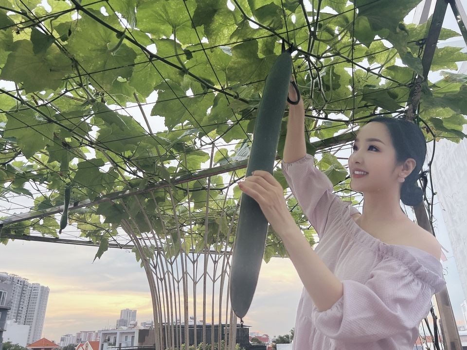 Sao Việt Sao Việt