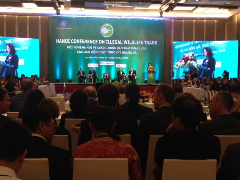 'Hoạt động buôn bán trái phép động, thực vật diễn biến phức tạp'