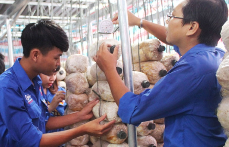 “Tảng băng chìm” trong hành trình khởi nghiệp