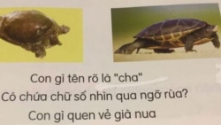 Đại diện Bộ GD&ĐT lên tiếng về sự cố trong sách giáo khoa Tiếng Việt lớp 1 ‘Kết nối tri thức’