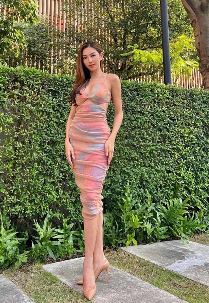 Sao Việt tuần qua: