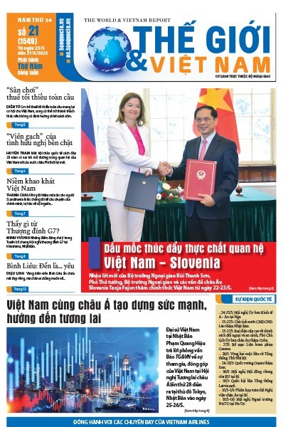 Số 21-2023
