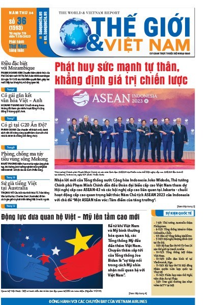 Số 36-2023