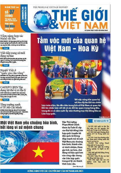 Số 37-2023