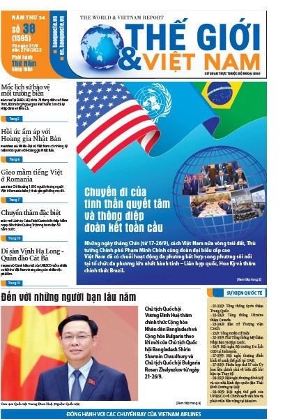 Số 38-2023
