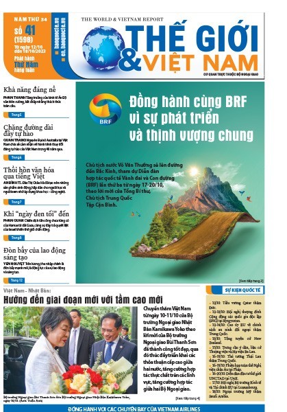 Số 41-2023