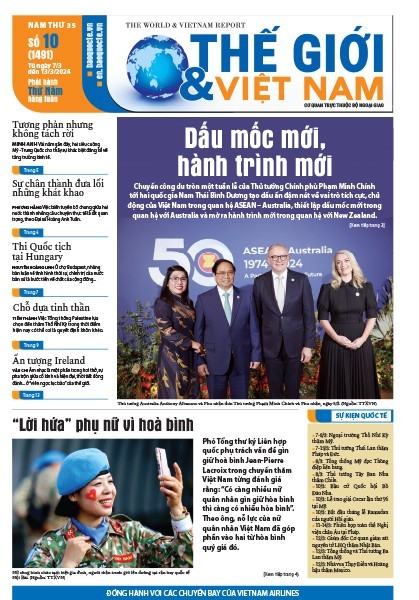 Số 10-2024