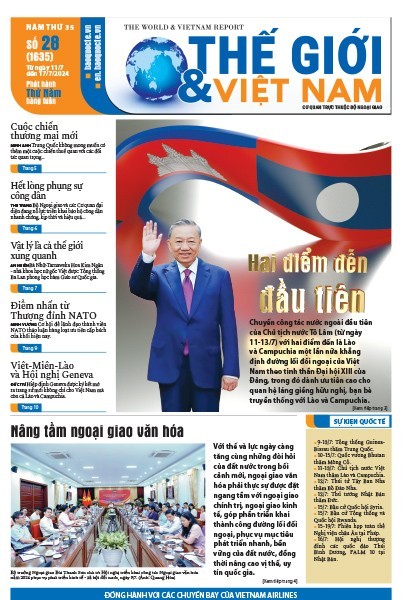 Số 28-2024