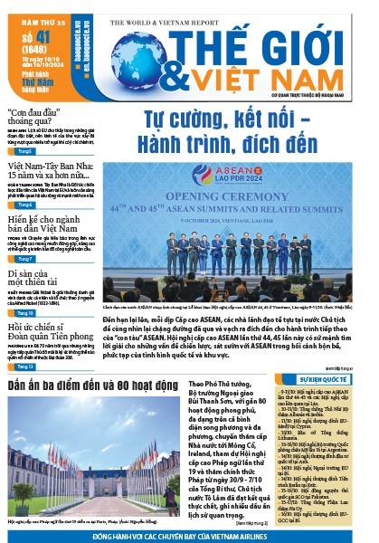Số 41-2024