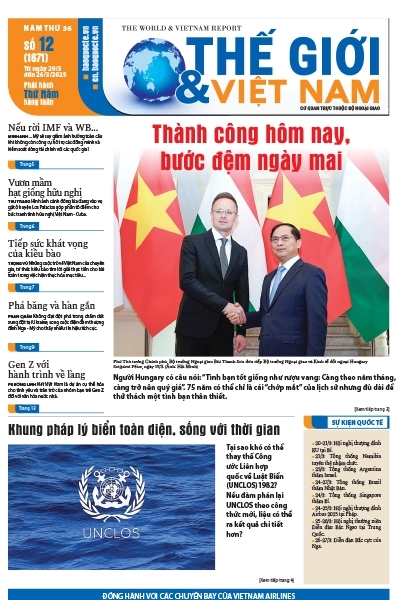 Số 12-2025