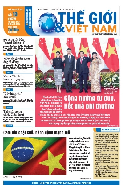 Số 13-2025