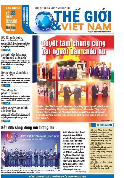 Số 22-2025