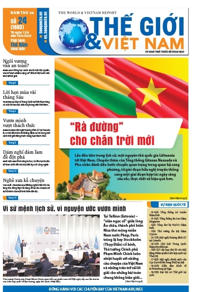 Số 24-2025
