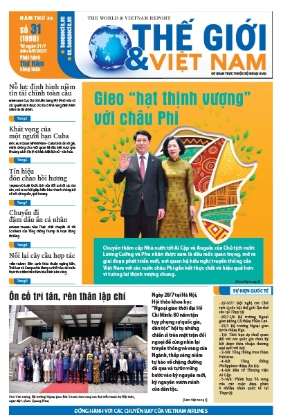 Số 31-2025