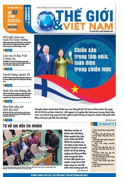 Số 42-2025