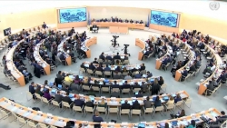 Ngày Nhân quyền thế giới 10/12: Quyền con người là giá trị thiết yếu mỗi ngày